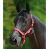 WALDHAUSEN LITTLE HORSES Kantar