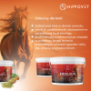 HIPPOVET PHARMACY KIESELGUR FORTE Rozwój i ochrona układu kostnego w okresie wzrostu lub rekonwalescencji 3 kg