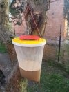 KERBL REDTOP Pułapka na muchy, muchołapka 3L