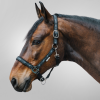 WALDHAUSEN LITTLE HORSES Kantar