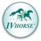 IV HORSE