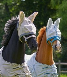 *WALDHAUSEN FLY BONNET Maska przeciw owadom