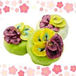 KOŃSKA CUKIERENKA BRATKI DONAT Smakołyki/Cukierki naturalne dla koni