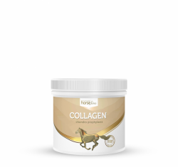 HorseLinePRO Collagen Kolagen preparat wzmacniający ścięgna i stawy 300g