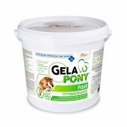 ORLING GelaPony Fast szybka reakcja na kontuzje ścięgien i stawów