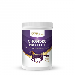 .HorseLinePRO ChondroProtect odżywczy preparat na zdrowe i mocne ścięgna oraz stawy koni 900g
