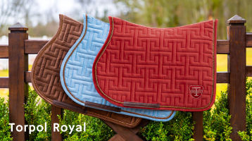 TORPOL ROYAL 2.0