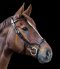 WALDHAUSEN X-LINE BRIDLE RELAXATION Ogłowie anatomiczne