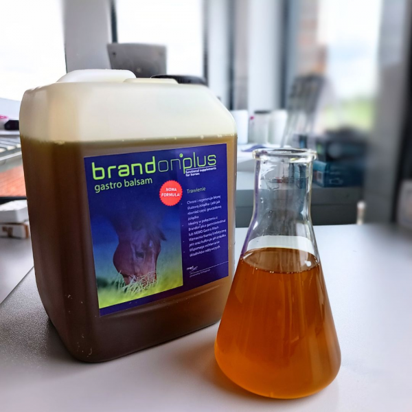 BRANDON+ GASTRO BALSAM Micelarny balsam ochronny dla koni z wrzodami żołądka