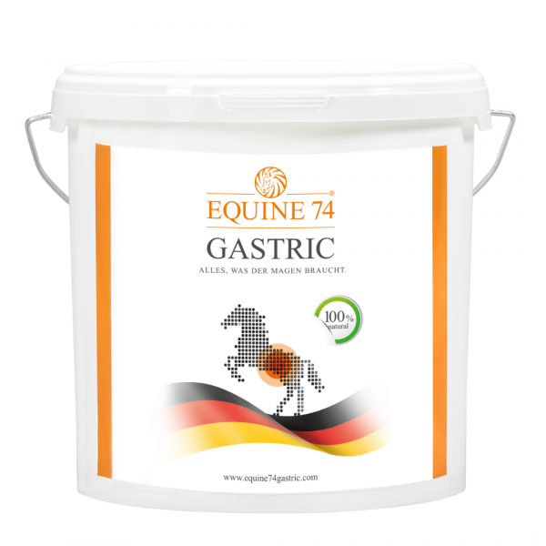 EQUINE74 GASTRIC Leczenie i profilaktyka koni z wrzodami pellet 6kg 24H