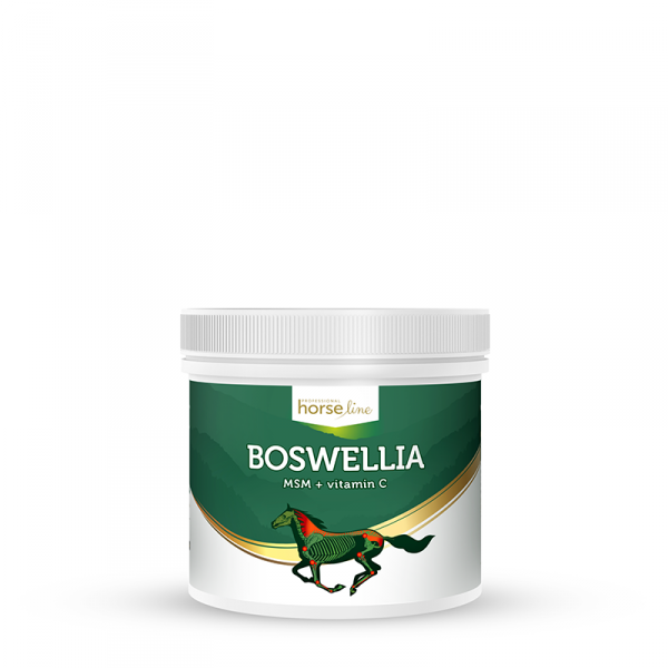 .HorseLinePRO Boswellia Serrata silnie działający preparat przeciwzapalny wzmacniający ścięgna i stawy 500g