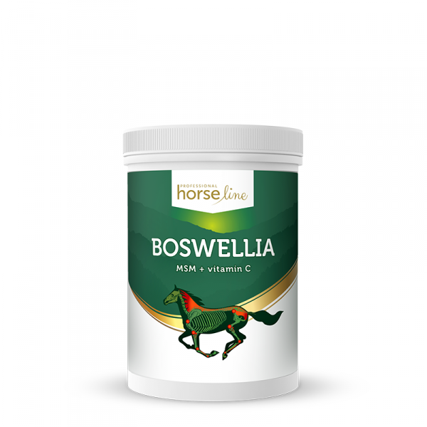 .HorseLinePRO Boswellia Serrata silnie działający preparat przeciwzapalny wzmacniający ścięgna i stawy 900g