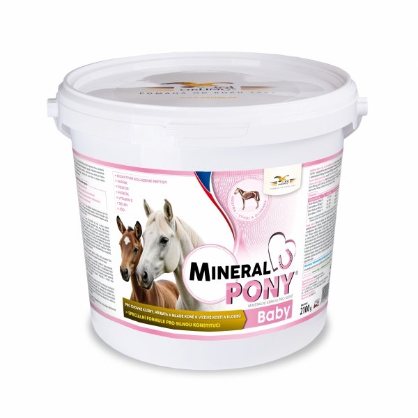 ORLING MineralPony Baby intensywne odżywienie szkieletu żrebiąt, młodych koni i klaczy