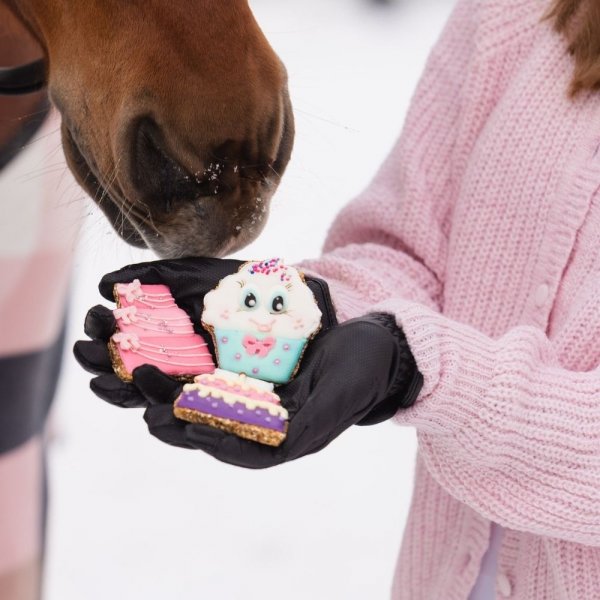 KOŃSKA CUKIERENKA SŁODKA BABECZKA PIERNICZEK Smakołyki/Cukierki naturalne dla koni