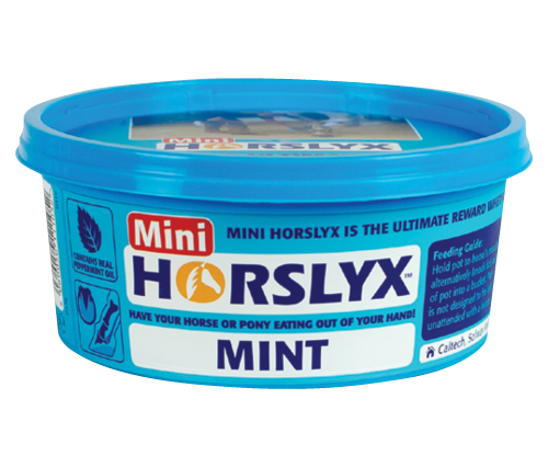 HORSLYX MINT Lizawka miętowa 650g 