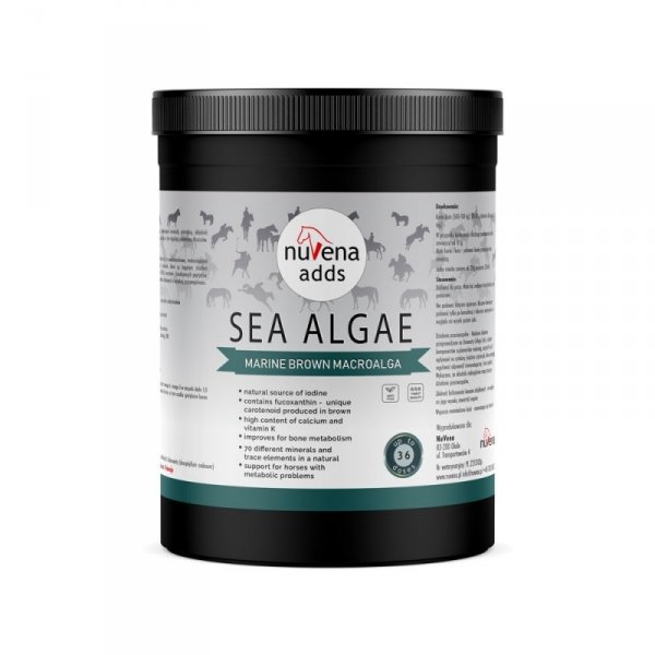 NUVENA SEA ALGAE Algi morskie Preparat wspomagający układ kostny dla konia 900g