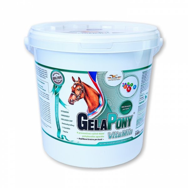 ORLING GelaPony VitaMin Kompleksowy zestaw witamin dla koni żywionych owsem i sianem
