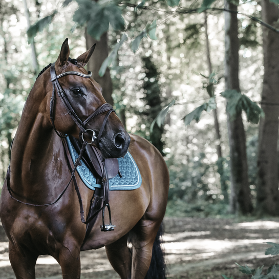 KENTUCKY VELVET Czaprak skokowy PONY