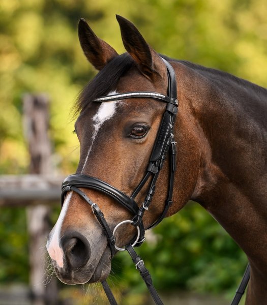 WALDHAUSEN BLINKERS Skórzane zaślepki