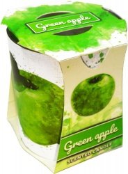 ŚWIECA SZKLANKA POWLEKANA VERONA A'1 GREEN APPLE