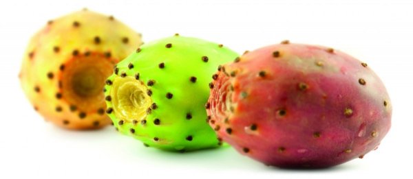  RICA Opuntia Oil Płyn do kąpieli 150 ml
